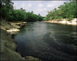 Photo of Suwannee River