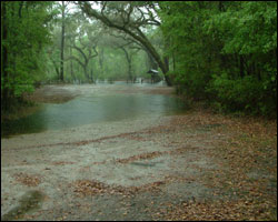 Photo of Suwannee Springs Flooding